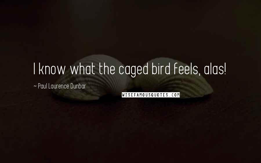 Paul Laurence Dunbar Quotes: I know what the caged bird feels, alas!