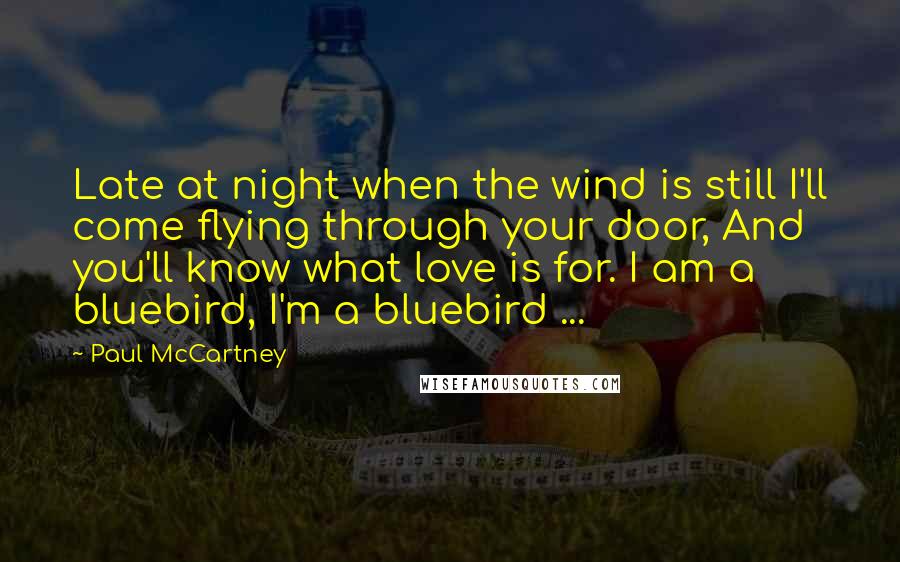 Paul McCartney Quotes: Late at night when the wind is still I'll come flying through your door, And you'll know what love is for. I am a bluebird, I'm a bluebird ...