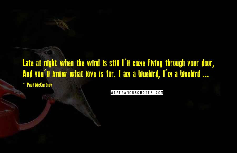 Paul McCartney Quotes: Late at night when the wind is still I'll come flying through your door, And you'll know what love is for. I am a bluebird, I'm a bluebird ...