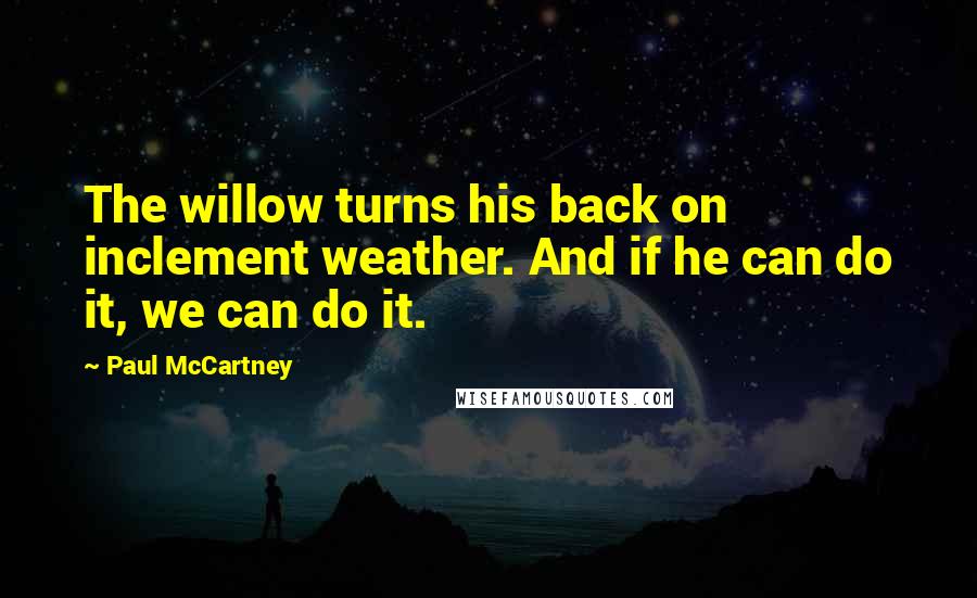 Paul McCartney Quotes: The willow turns his back on inclement weather. And if he can do it, we can do it.