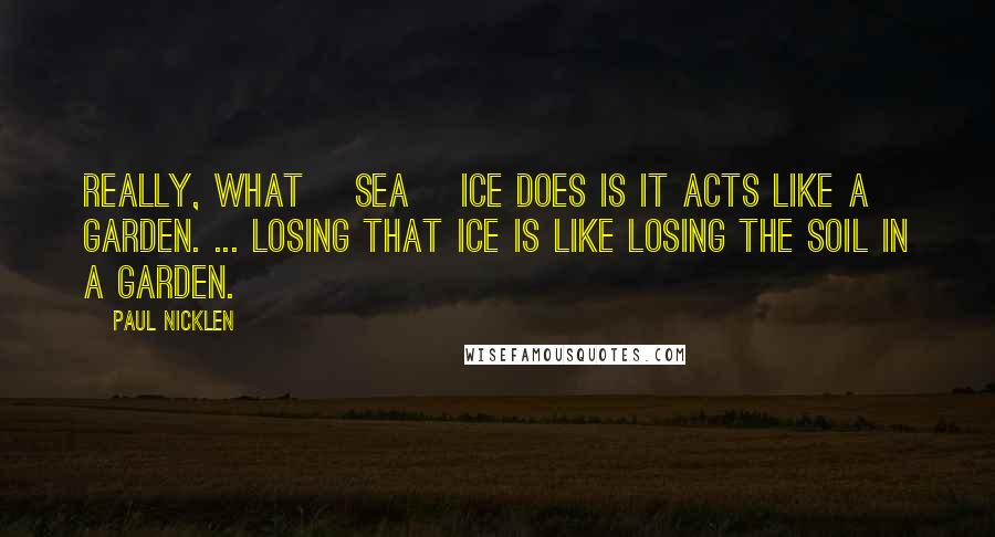 Paul Nicklen Quotes: Really, what [sea] ice does is it acts like a garden. ... Losing that ice is like losing the soil in a garden.