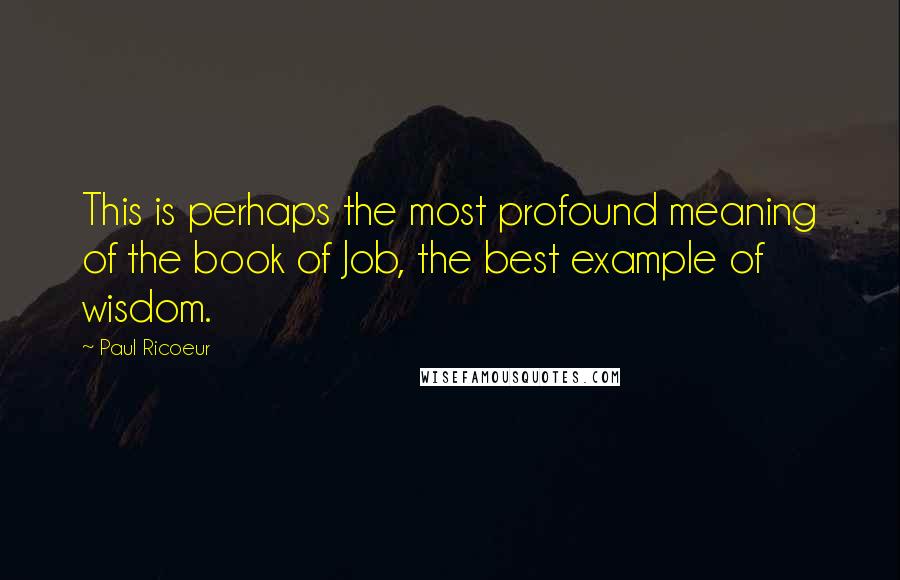 Paul Ricoeur Quotes: This is perhaps the most profound meaning of the book of Job, the best example of wisdom.