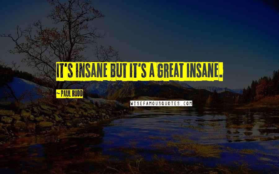 Paul Rudd Quotes: It's insane but it's a great insane.