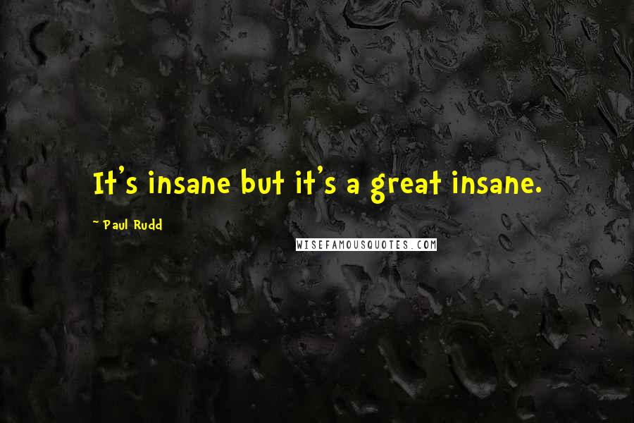 Paul Rudd Quotes: It's insane but it's a great insane.