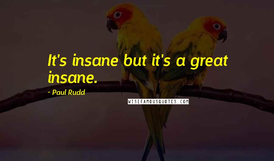 Paul Rudd Quotes: It's insane but it's a great insane.