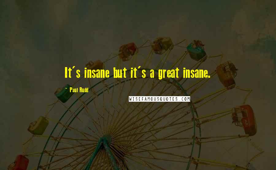 Paul Rudd Quotes: It's insane but it's a great insane.