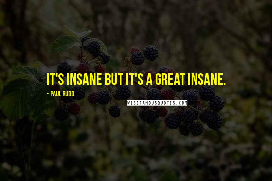 Paul Rudd Quotes: It's insane but it's a great insane.