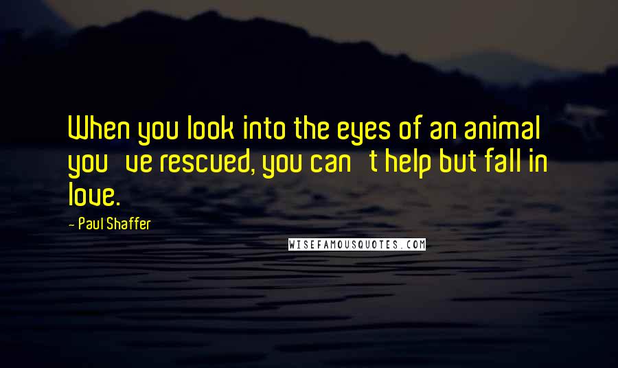 Paul Shaffer Quotes: When you look into the eyes of an animal you've rescued, you can't help but fall in love.