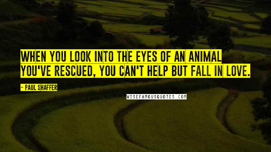Paul Shaffer Quotes: When you look into the eyes of an animal you've rescued, you can't help but fall in love.