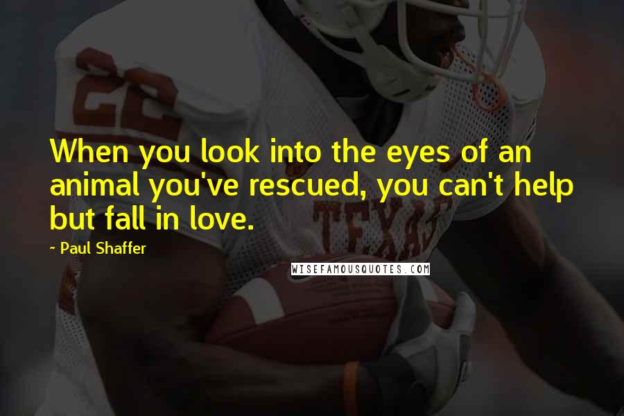 Paul Shaffer Quotes: When you look into the eyes of an animal you've rescued, you can't help but fall in love.