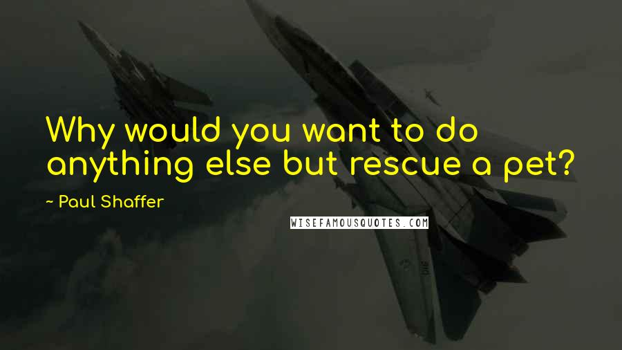 Paul Shaffer Quotes: Why would you want to do anything else but rescue a pet?