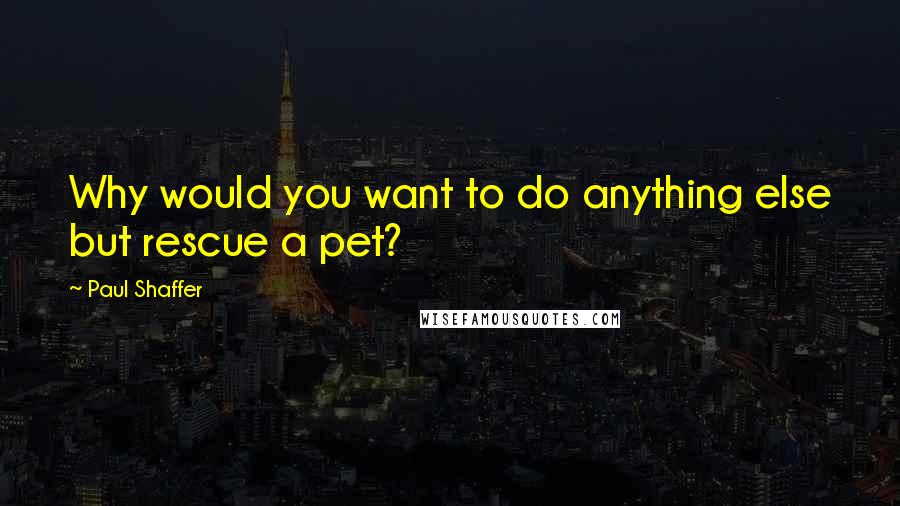 Paul Shaffer Quotes: Why would you want to do anything else but rescue a pet?