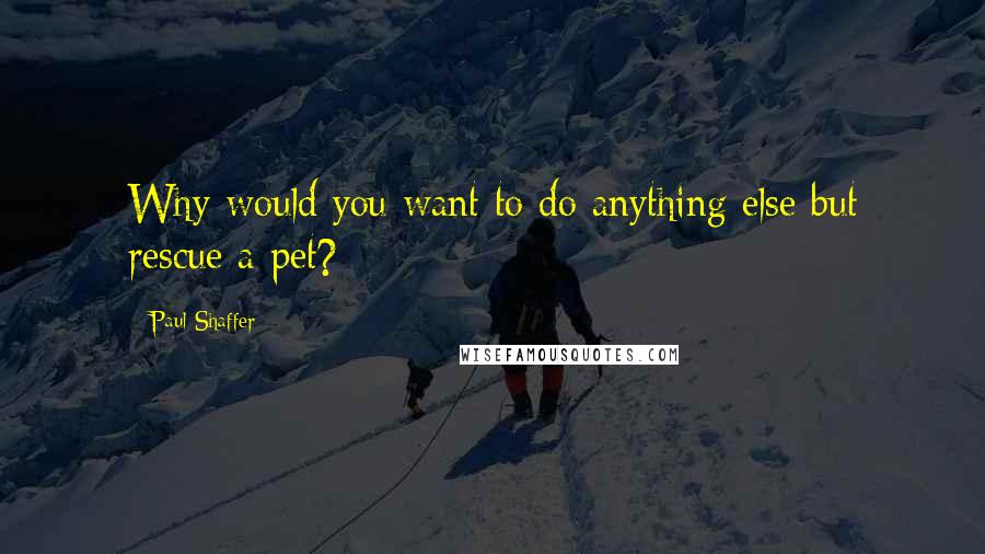 Paul Shaffer Quotes: Why would you want to do anything else but rescue a pet?