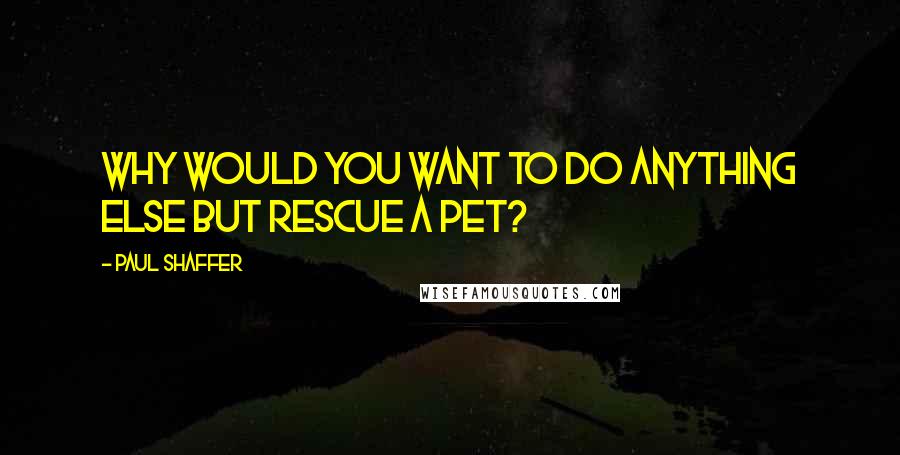 Paul Shaffer Quotes: Why would you want to do anything else but rescue a pet?