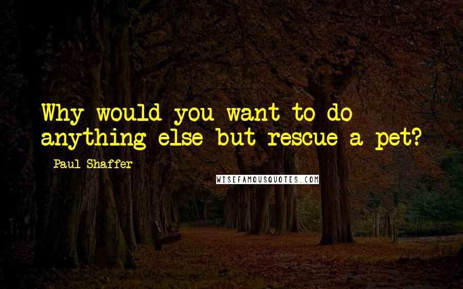 Paul Shaffer Quotes: Why would you want to do anything else but rescue a pet?