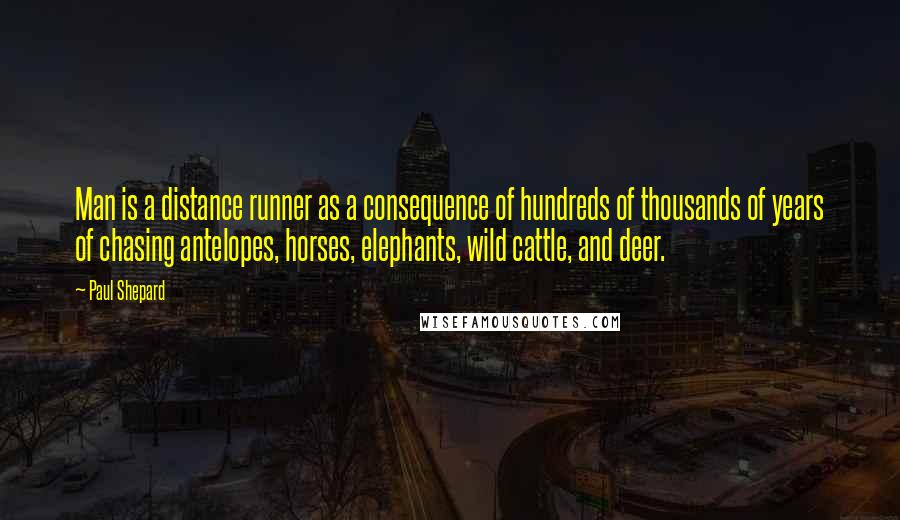 Paul Shepard Quotes: Man is a distance runner as a consequence of hundreds of thousands of years of chasing antelopes, horses, elephants, wild cattle, and deer.