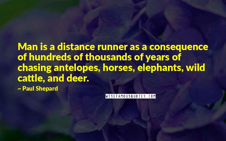 Paul Shepard Quotes: Man is a distance runner as a consequence of hundreds of thousands of years of chasing antelopes, horses, elephants, wild cattle, and deer.