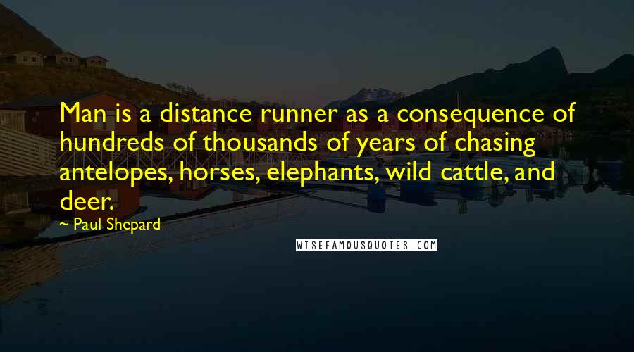 Paul Shepard Quotes: Man is a distance runner as a consequence of hundreds of thousands of years of chasing antelopes, horses, elephants, wild cattle, and deer.