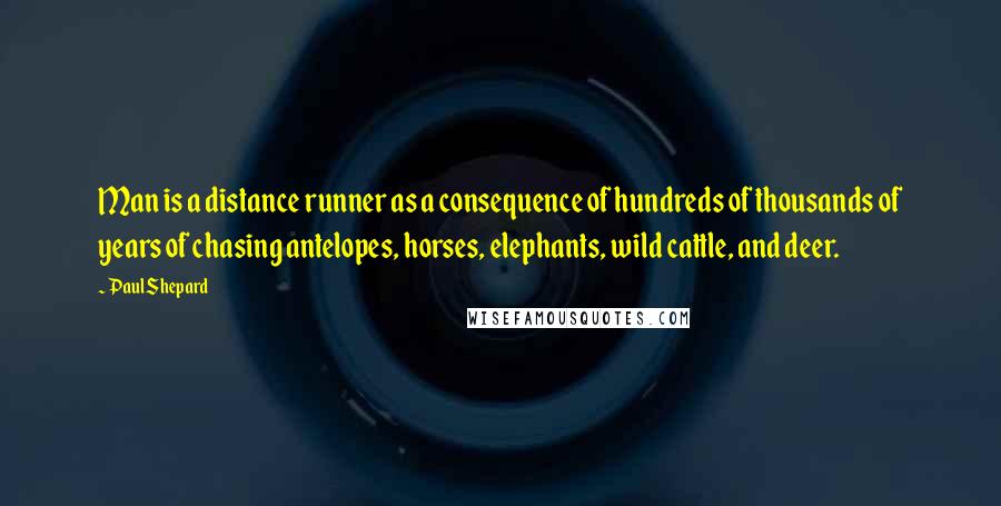 Paul Shepard Quotes: Man is a distance runner as a consequence of hundreds of thousands of years of chasing antelopes, horses, elephants, wild cattle, and deer.