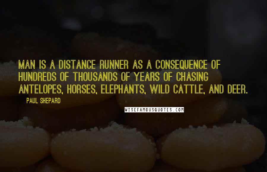 Paul Shepard Quotes: Man is a distance runner as a consequence of hundreds of thousands of years of chasing antelopes, horses, elephants, wild cattle, and deer.
