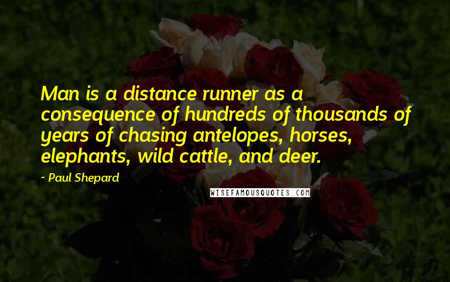 Paul Shepard Quotes: Man is a distance runner as a consequence of hundreds of thousands of years of chasing antelopes, horses, elephants, wild cattle, and deer.