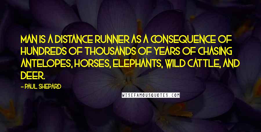 Paul Shepard Quotes: Man is a distance runner as a consequence of hundreds of thousands of years of chasing antelopes, horses, elephants, wild cattle, and deer.