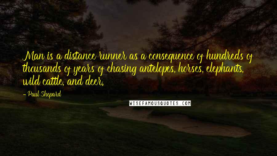 Paul Shepard Quotes: Man is a distance runner as a consequence of hundreds of thousands of years of chasing antelopes, horses, elephants, wild cattle, and deer.