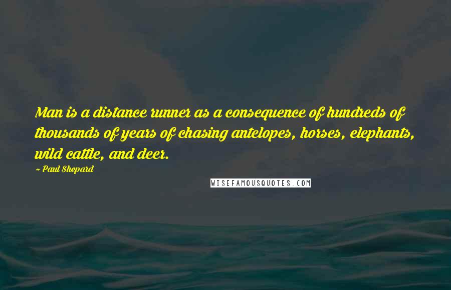 Paul Shepard Quotes: Man is a distance runner as a consequence of hundreds of thousands of years of chasing antelopes, horses, elephants, wild cattle, and deer.