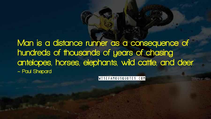 Paul Shepard Quotes: Man is a distance runner as a consequence of hundreds of thousands of years of chasing antelopes, horses, elephants, wild cattle, and deer.