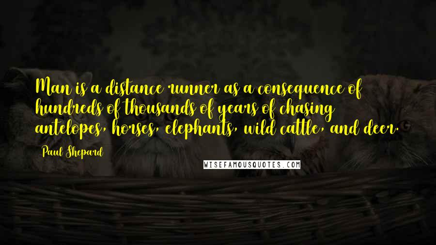 Paul Shepard Quotes: Man is a distance runner as a consequence of hundreds of thousands of years of chasing antelopes, horses, elephants, wild cattle, and deer.
