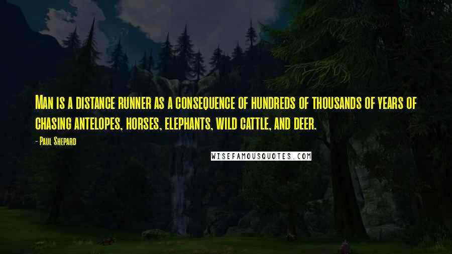 Paul Shepard Quotes: Man is a distance runner as a consequence of hundreds of thousands of years of chasing antelopes, horses, elephants, wild cattle, and deer.