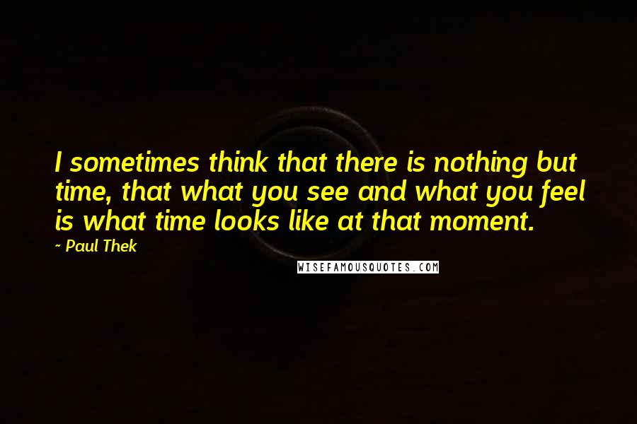 Paul Thek Quotes: I sometimes think that there is nothing but time, that what you see and what you feel is what time looks like at that moment.