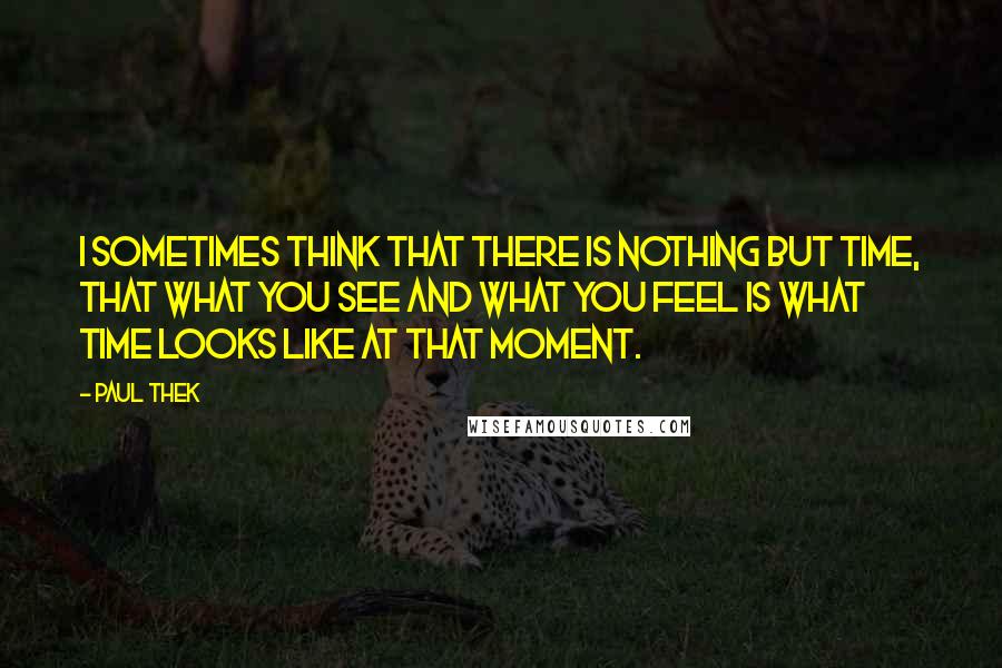 Paul Thek Quotes: I sometimes think that there is nothing but time, that what you see and what you feel is what time looks like at that moment.