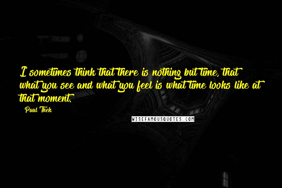 Paul Thek Quotes: I sometimes think that there is nothing but time, that what you see and what you feel is what time looks like at that moment.