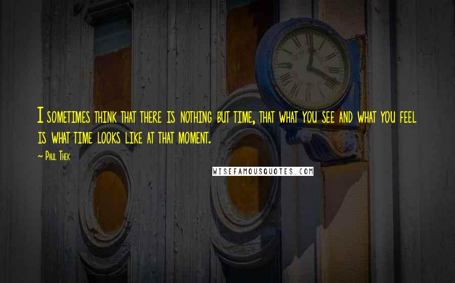 Paul Thek Quotes: I sometimes think that there is nothing but time, that what you see and what you feel is what time looks like at that moment.