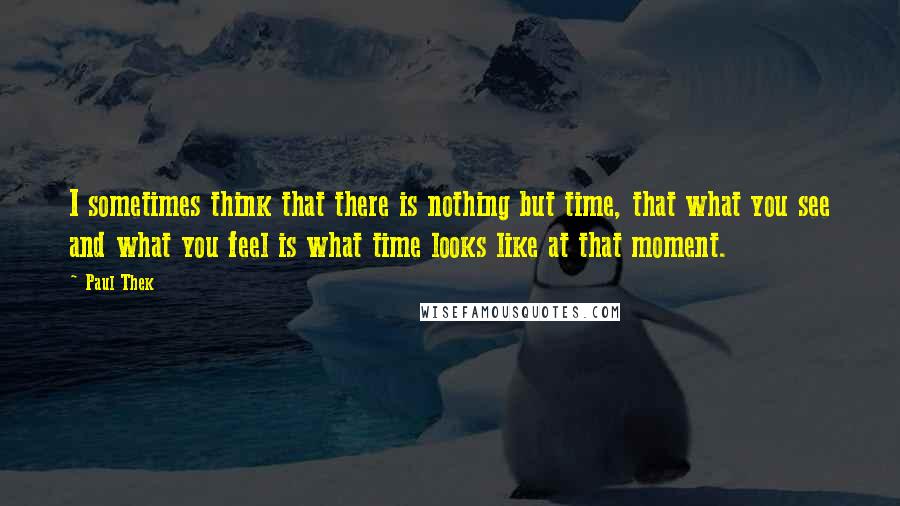 Paul Thek Quotes: I sometimes think that there is nothing but time, that what you see and what you feel is what time looks like at that moment.