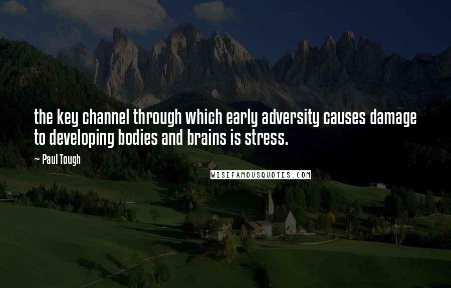 Paul Tough Quotes: the key channel through which early adversity causes damage to developing bodies and brains is stress.