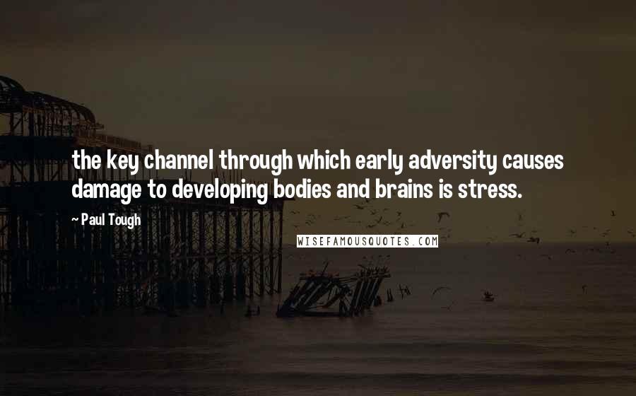 Paul Tough Quotes: the key channel through which early adversity causes damage to developing bodies and brains is stress.