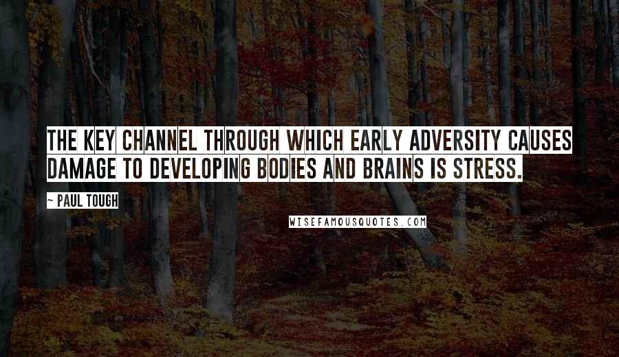 Paul Tough Quotes: the key channel through which early adversity causes damage to developing bodies and brains is stress.