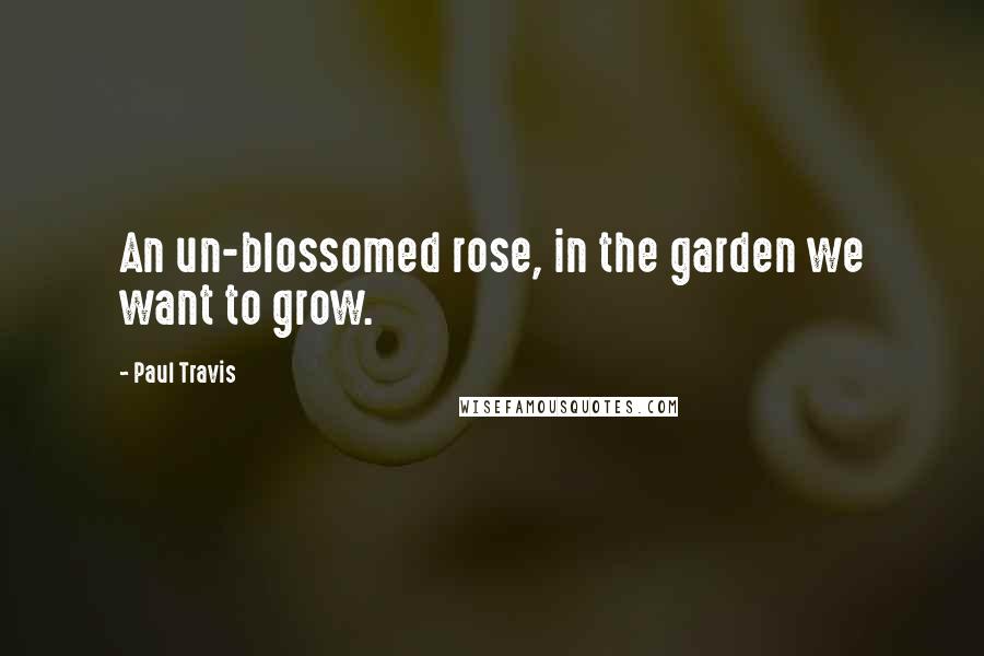 Paul Travis Quotes: An un-blossomed rose, in the garden we want to grow.