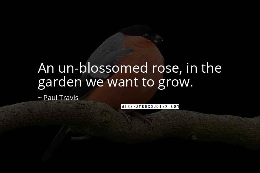 Paul Travis Quotes: An un-blossomed rose, in the garden we want to grow.