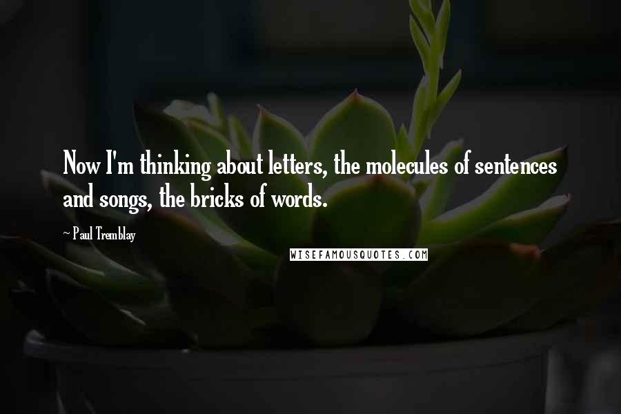 Paul Tremblay Quotes: Now I'm thinking about letters, the molecules of sentences and songs, the bricks of words.