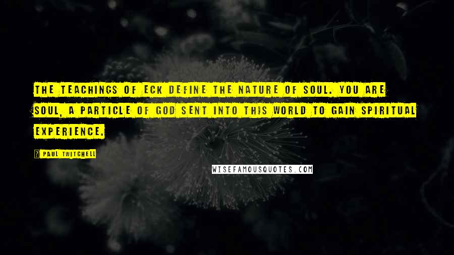 Paul Twitchell Quotes: The teachings of ECK define the nature of Soul. You are Soul, a particle of God sent into this world to gain spiritual experience.