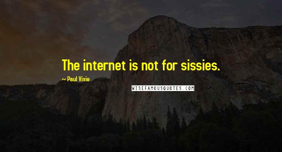 Paul Vixie Quotes: The internet is not for sissies.