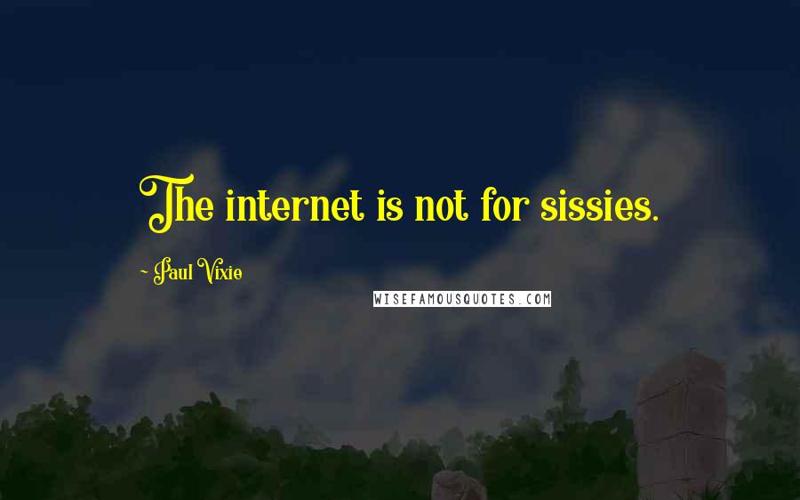 Paul Vixie Quotes: The internet is not for sissies.