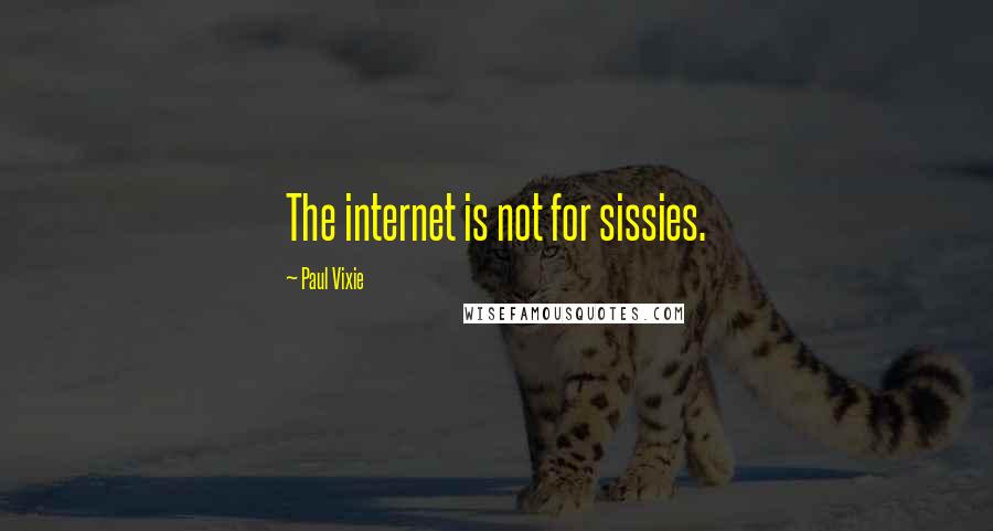 Paul Vixie Quotes: The internet is not for sissies.