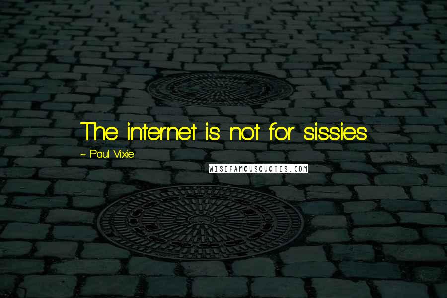 Paul Vixie Quotes: The internet is not for sissies.