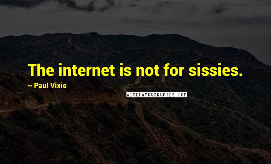 Paul Vixie Quotes: The internet is not for sissies.