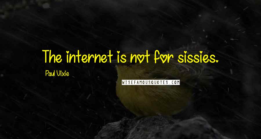 Paul Vixie Quotes: The internet is not for sissies.