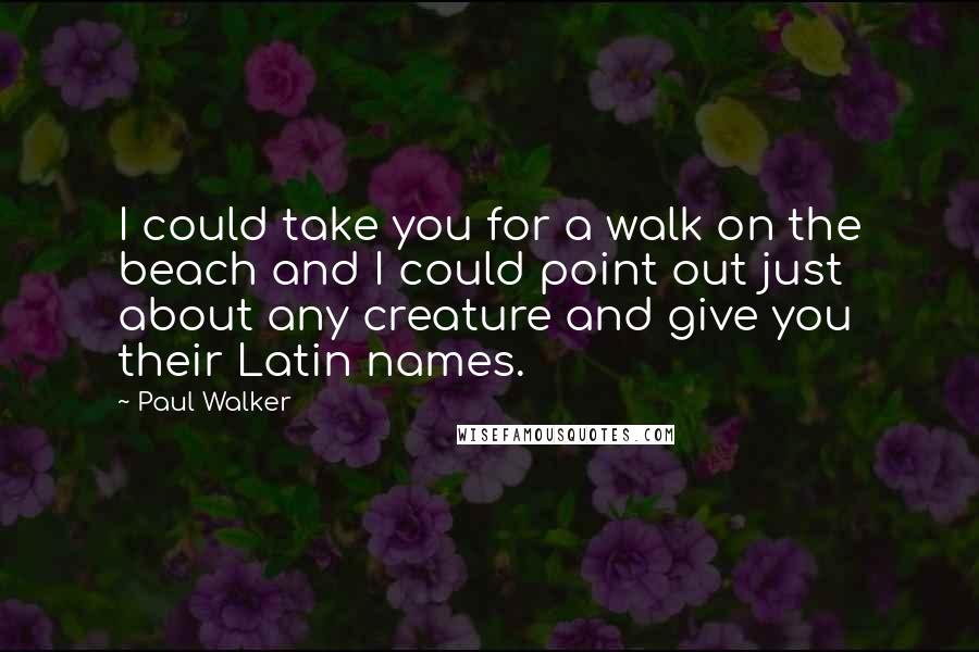 Paul Walker Quotes: I could take you for a walk on the beach and I could point out just about any creature and give you their Latin names.